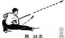 初级剑术教学视频,剑法入门与基础技巧解析